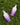 Moisturising Bundle