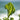 Sea Kale Moisturising Bundle Wildly Rooted
